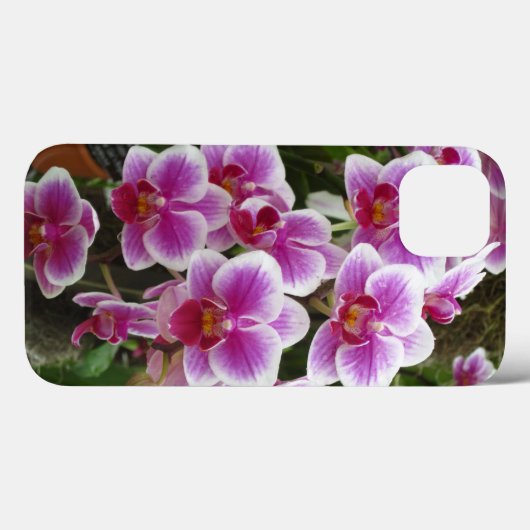Pink Phalaenopsis iPhone 13 Fall Case-Mate iPhone Hülle (Rückseite (Horizontal))