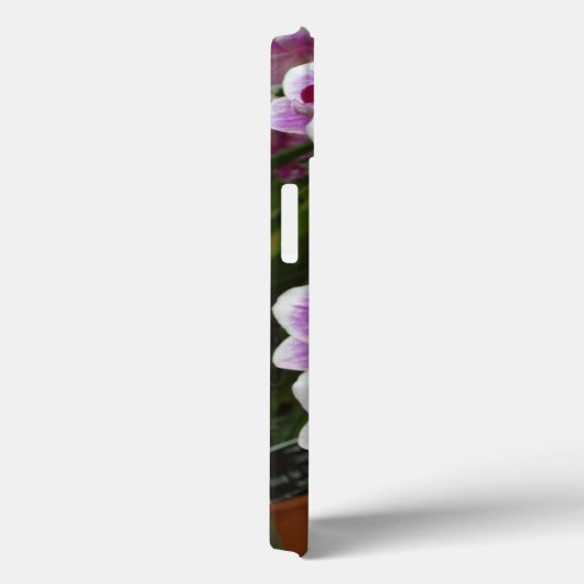 Pink Phalaenopsis iPhone 13 Fall Case-Mate iPhone Hülle (Rückseite / Rechts)