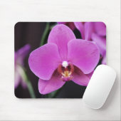 Pink Phalaenopsis Mousepad (Mit Mouse)