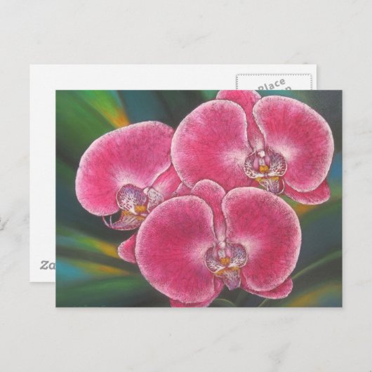 Pink Phalaenopsis Orchids Blume Acrylmalerei Postkarte (Vorne/Hinten)