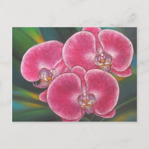 Pink Phalaenopsis Orchids Blume Acrylmalerei Postkarte