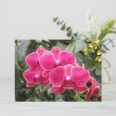 Pink Phaleonopsis Einladung (Stehend Vorderseite)