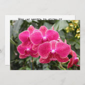 Pink Phaleonopsis Einladung (Vorne/Hinten)