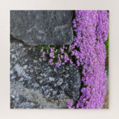Pink Phlox auf Boulder Puzzle (Horizontal)