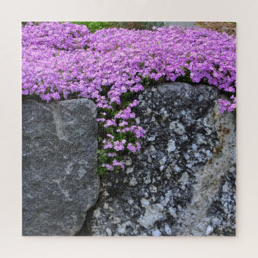 Pink Phlox auf Boulder Puzzle (Vertikal)