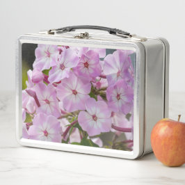 Pink Phlox Blume, kanadische Fotografie Metall Brotdose