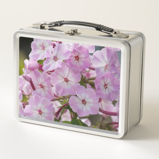 Pink Phlox Blume, kanadische Fotografie Metall Brotdose (Vorderseite)