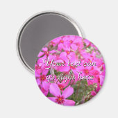 Pink Phlox Blume Magnet (Vorderseite/Rückseite)