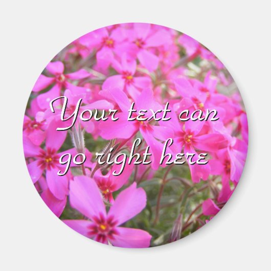 Pink Phlox Blume Magnet (Vorne)