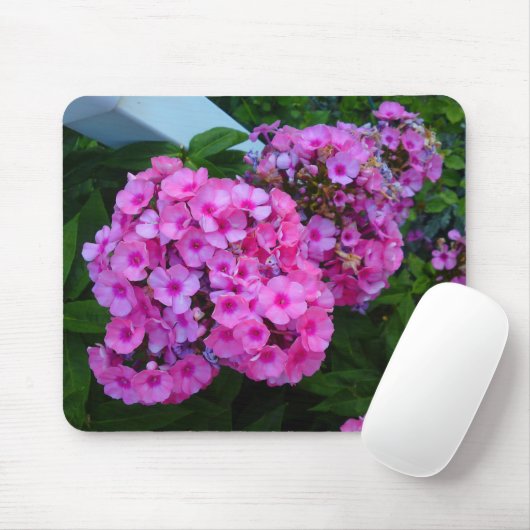 Pink Phlox Blume Mousepad (Mit Mouse)