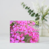 Pink Phlox Blume Postkarte (Stehend Vorderseite)