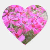 Pink Phlox Blume Stickers (Vorderseite)