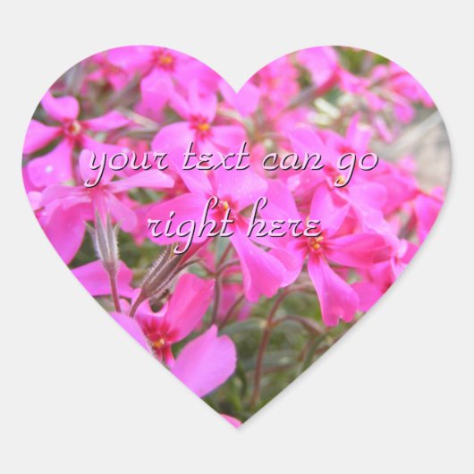 Pink Phlox Blume Stickers (Vorderseite)