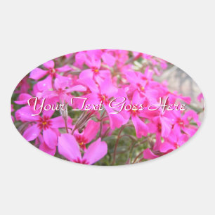 Pink Phlox Blume Stickers