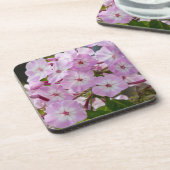 Pink Phlox Getränkeuntersetzer (Linke Seite)
