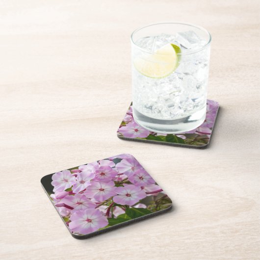 Pink Phlox Getränkeuntersetzer (Rechte Seite)
