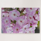 Pink Phlox, kanadischer Wunder Puzzle (Horizontal)