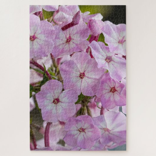 Pink Phlox, kanadischer Wunder Puzzle (Vertikal)