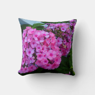 Pink Phlox Kissen