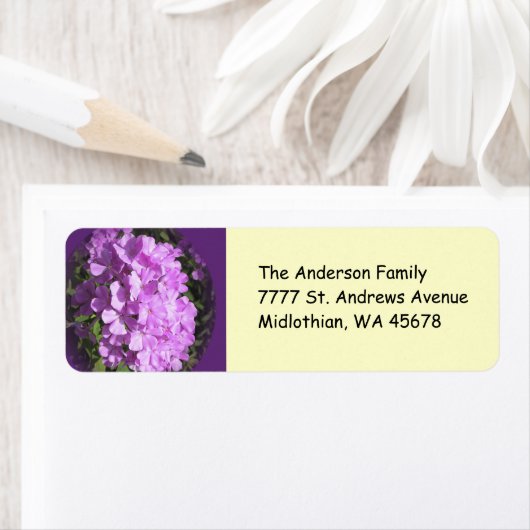 Pink Phlox Rücksendeadresse (Insitu)