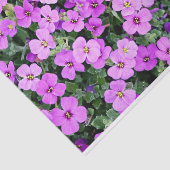 Pink Phlox Seidenpapier (Ausschnitt)