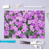 Pink Phlox Seidenpapier (Handwerk)