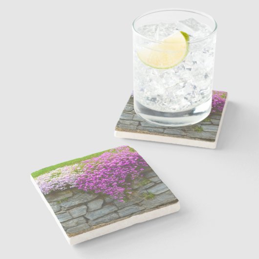 Pink Phlox Stone Untersetzer (Seitenansicht)