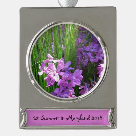 Pink Phlox und Gras Sommer Blüten Banner-Ornament Silber (Vorderseite)