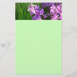 Pink Phlox und Gras Sommer Blüten Briefpapier
