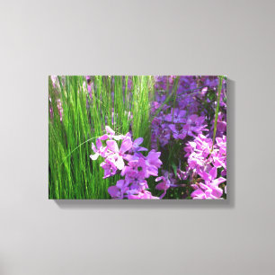 Pink Phlox und Gras Sommer Blüten Leinwanddruck