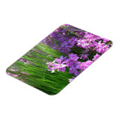 Pink Phlox und Gras Sommer Blüten Magnet (Linke Seite)