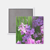 Pink Phlox und Gras Sommer Blüten Magnet (Vorderseite/Rückseite)