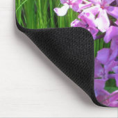 Pink Phlox und Gras Sommer Blüten Mousepad (Ecke)