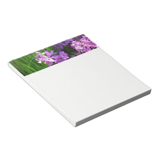 Pink Phlox und Gras Sommer Blüten Notizblock (angewinkelt)