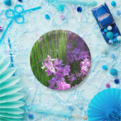 Pink Phlox und Gras Sommer Blüten Pappteller (Party)