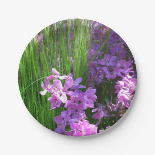 Pink Phlox und Gras Sommer Blüten Pappteller