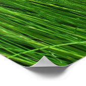 Pink Phlox und Gras Sommer Blüten Poster (Ecke)