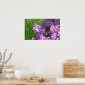 Pink Phlox und Gras Sommer Blüten Poster (Küche)