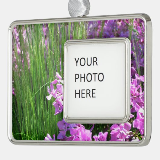 Pink Phlox und Gras Sommer Blüten Rahmen-Ornament Silber (Links)