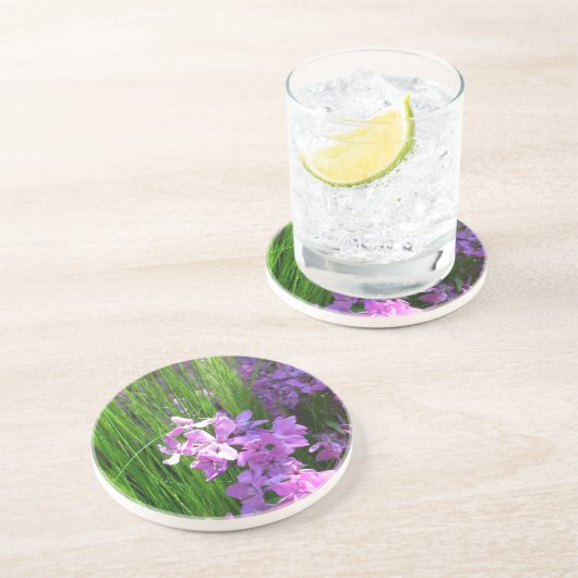 Pink Phlox und Gras Sommer Blüten Sandstein Untersetzer (Seite)