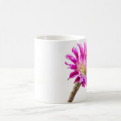 Pink Piazza Kaktus Blume in Blüte Kaffeetasse (Mittel)
