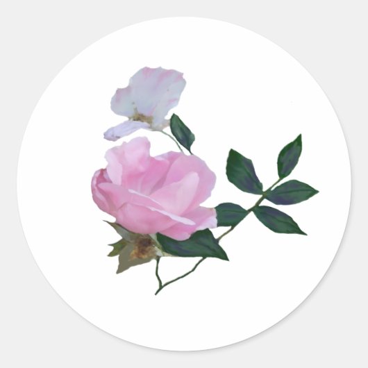 Pink Pic Nick Rose Runder Aufkleber (Vorderseite)
