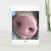 Pink Pig Nase nah Foto Karte (Rückseite)