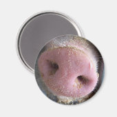 Pink Pig Nase nah Foto Magnet (Vorderseite/Rückseite)