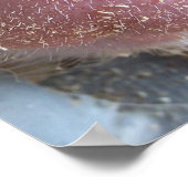 Pink Pig Nase nah Foto Poster (Ecke)