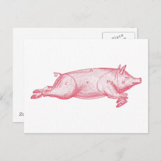 Pink Pig Postkarte (Vorne/Hinten)