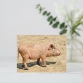 Pink piglet postkarte (Stehend Vorderseite)