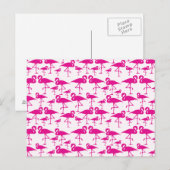 Pink Pink Flamingo Postkarte (Vorne/Hinten)