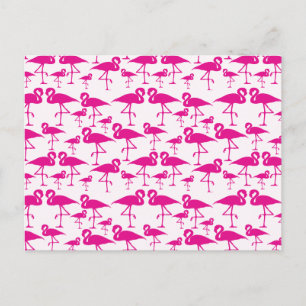Pink Pink Flamingo Postkarte