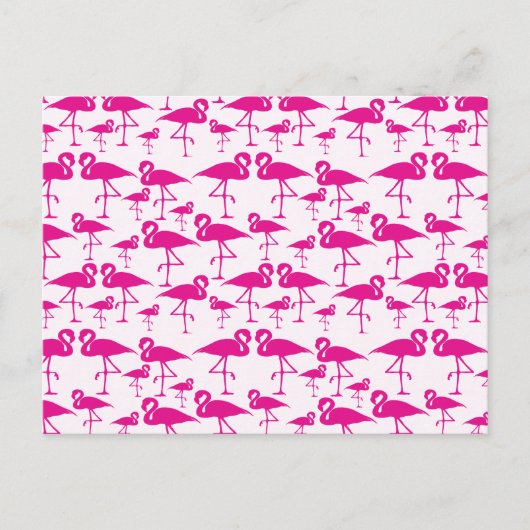 Pink Pink Flamingo Postkarte (Vorderseite)